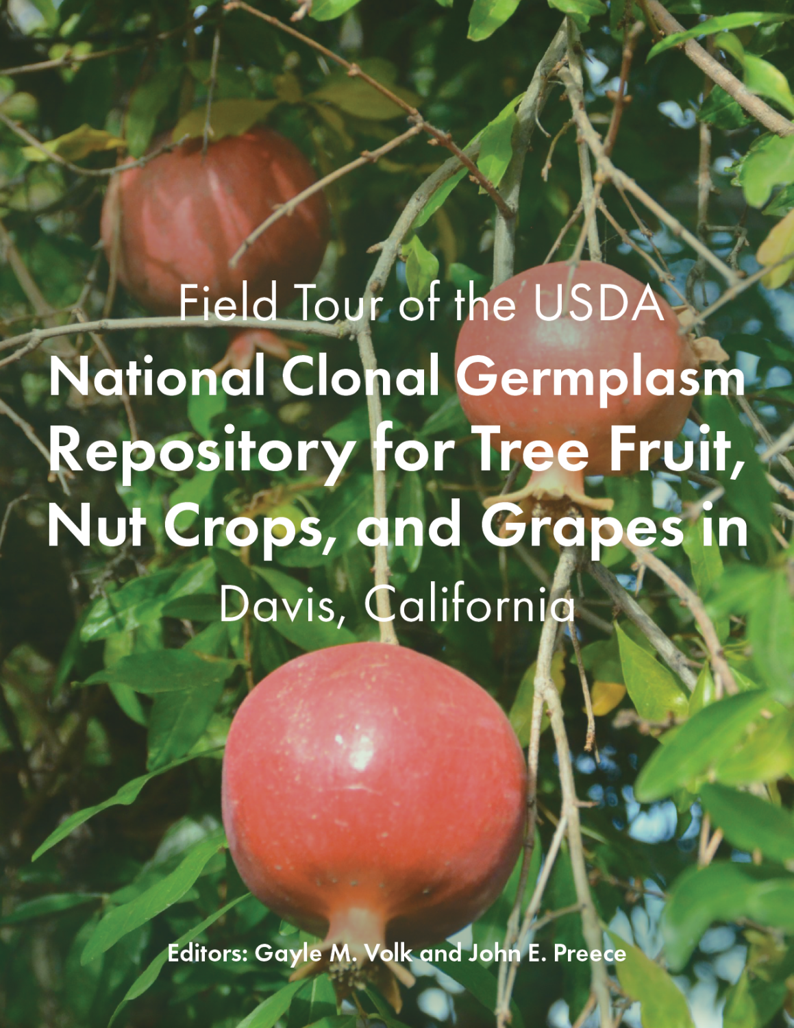 Cover image for Field Tour of the USDA National Clonal Germplasm Repository for Tree Fruit, Nut Crops, and Grapes in Davis, California