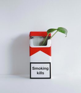A picture of a cigarette box with a plant inside of it. The cigarette box says "smoking kills".