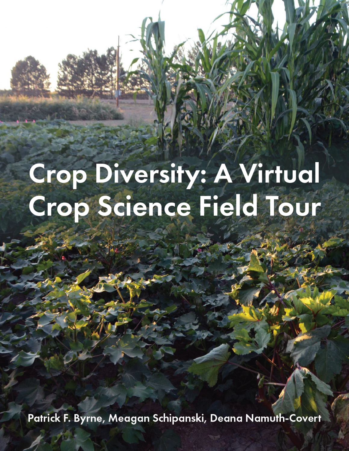 Cover image for Crop Diversity: A Virtual Crop Science Field Tour