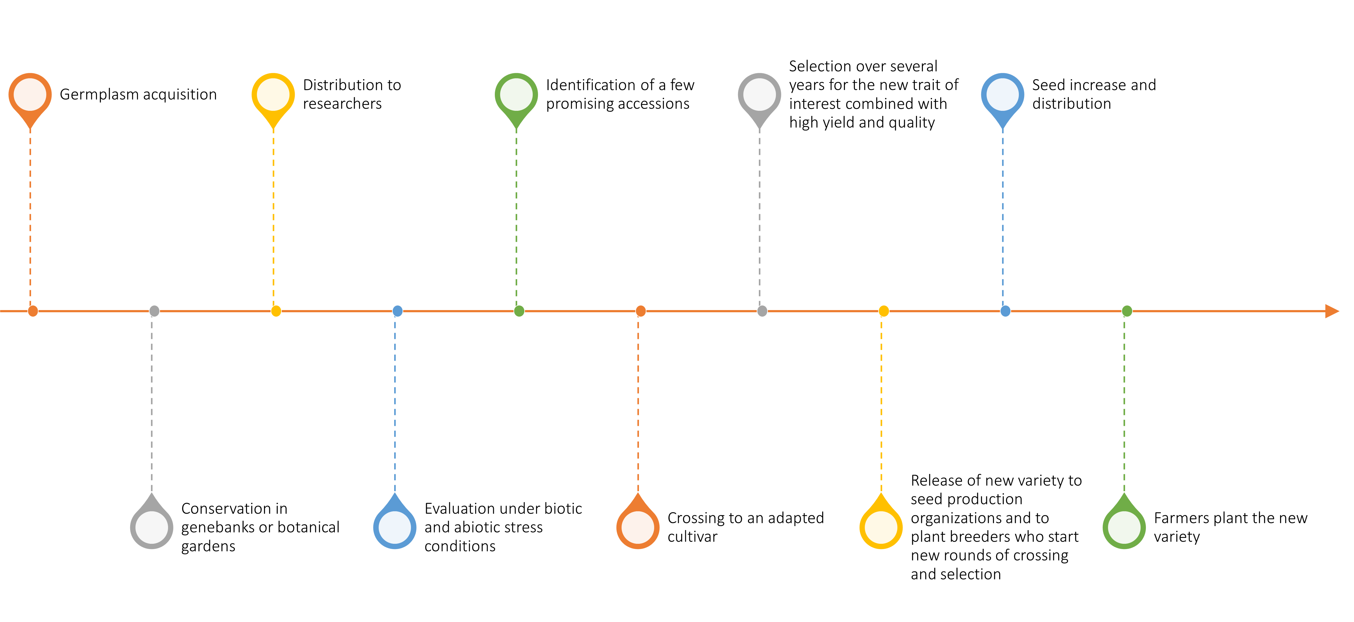 Frontiers  Breeding for Climate Change Resilience: A Case Study