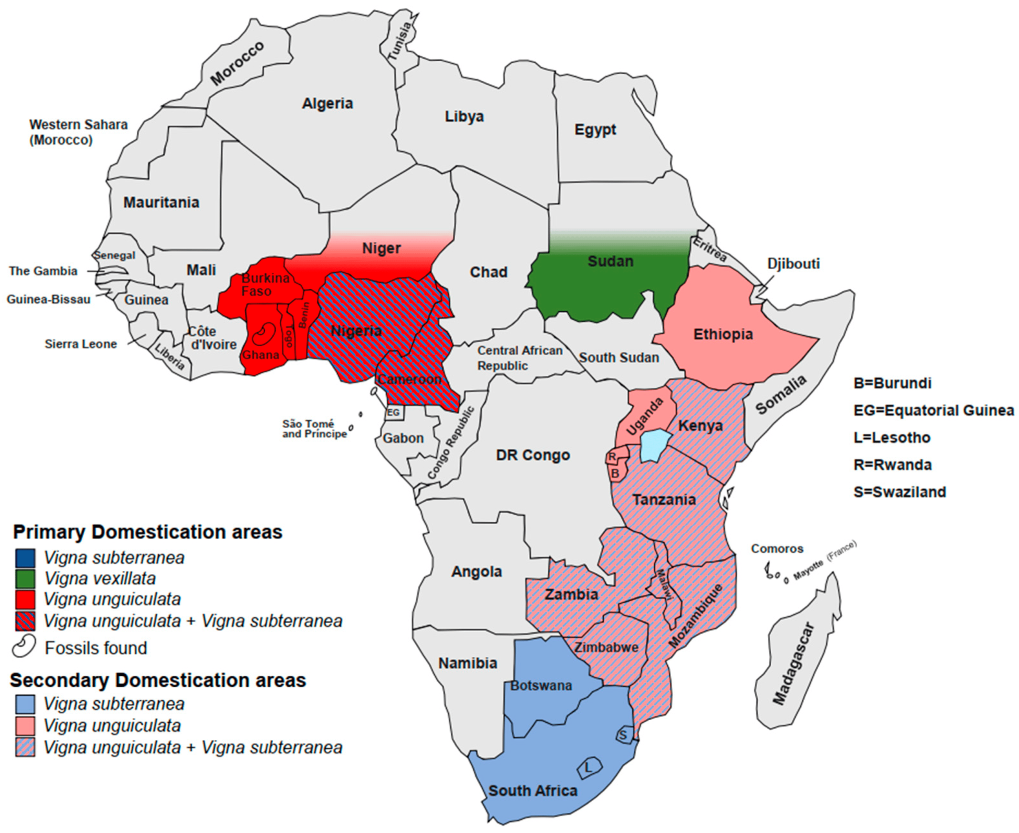 Bambara Groundnut (Vigna subterranea) – Understudied Indigenous Crops