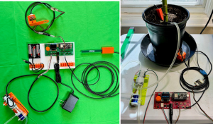 picture of datalogger board attached to potted plant