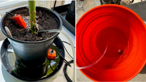 picture of 5-gallon bucket with plastic tubing and the tubing in a potted plant