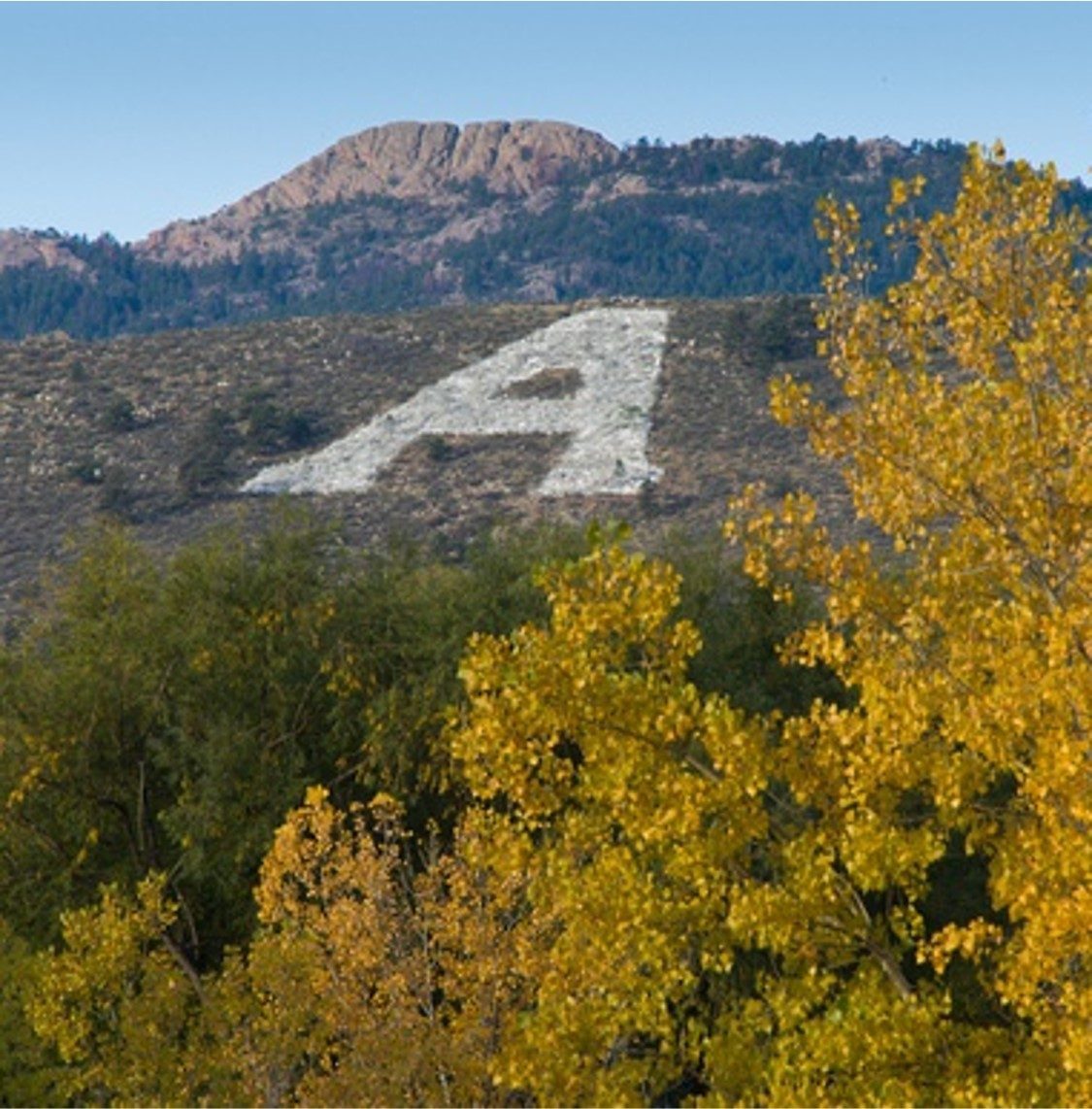 Cover image for Irrigation 101 - Introduction to Irrigation Water Management Principles