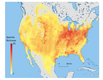 Case Study: Sunflower Domestication and Breeding – Crop Wild Relatives ...