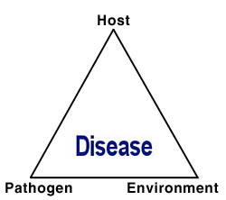 Triangle diagram with disease in the middle and at each corner: host, pathogen and environment.