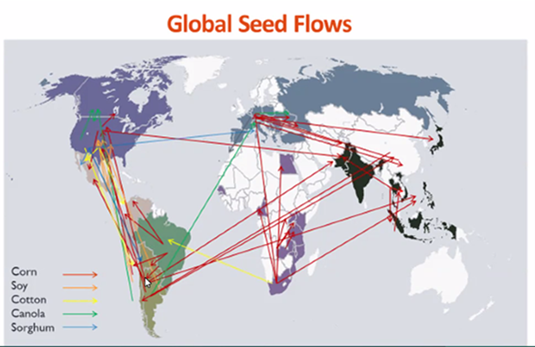 Globe showing international movement of corn, soy, cotton, canola, sorghum.